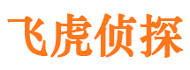 中方外遇调查取证